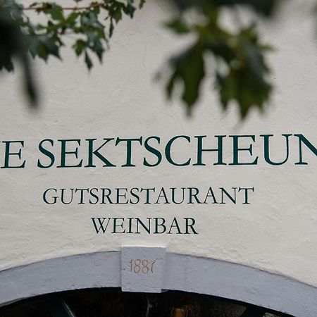 Weingut Und Gaestehaus Zilliken Nittel Εξωτερικό φωτογραφία