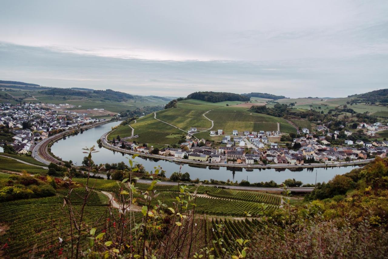 Weingut Und Gaestehaus Zilliken Nittel Εξωτερικό φωτογραφία